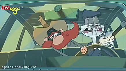 باگز خرگوشه  باگز نفوذی