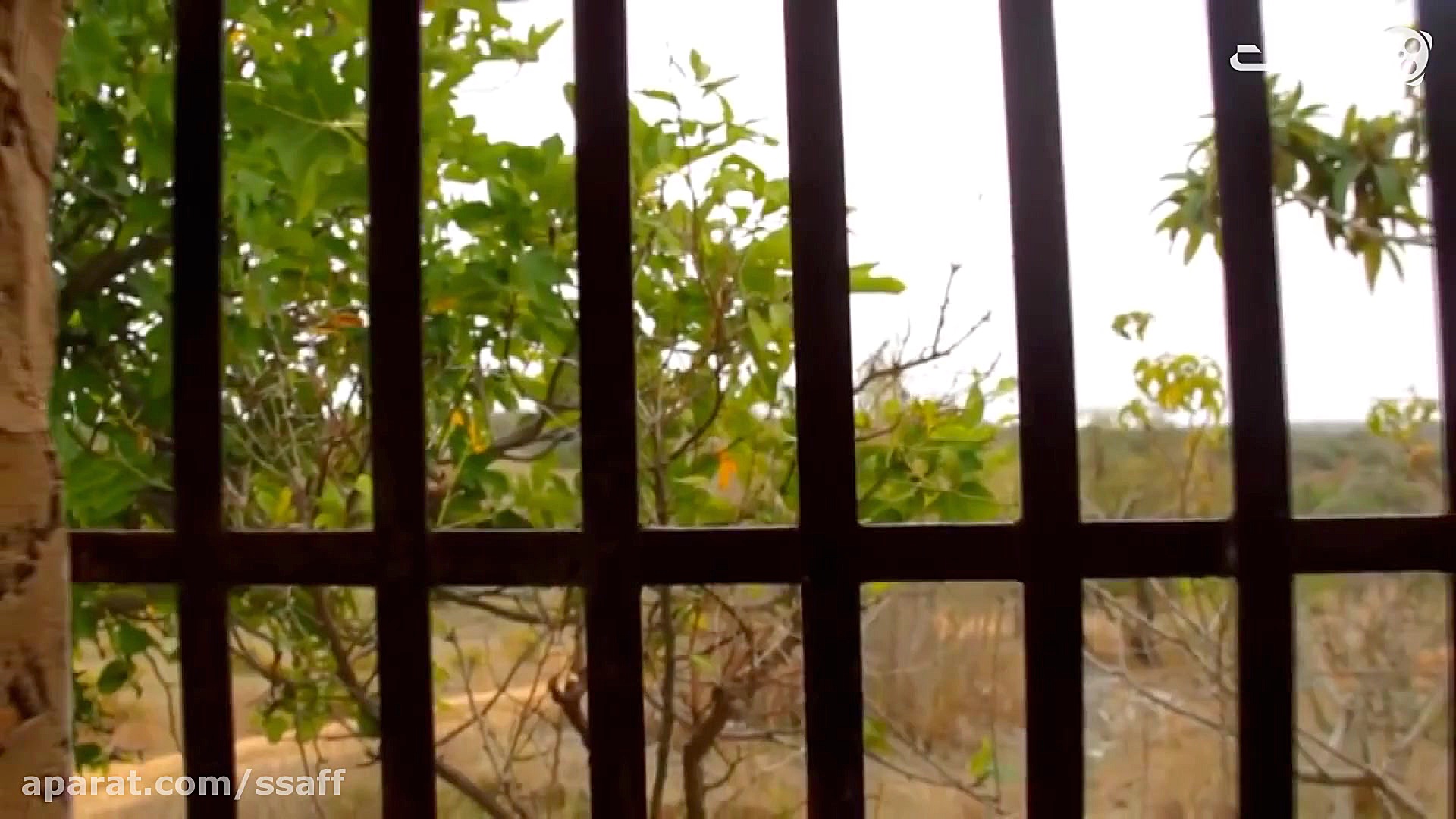 نظرامام باقر درباره عشق و عاشق...