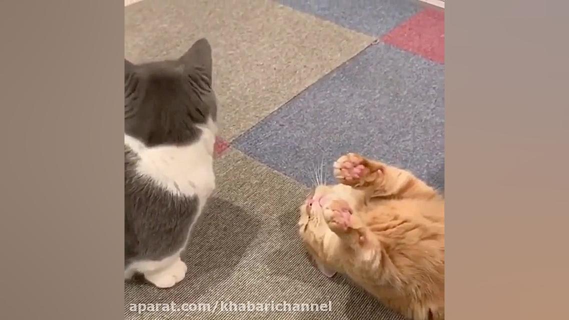 منتظره لاکاش خشک شه دوبله عالی...