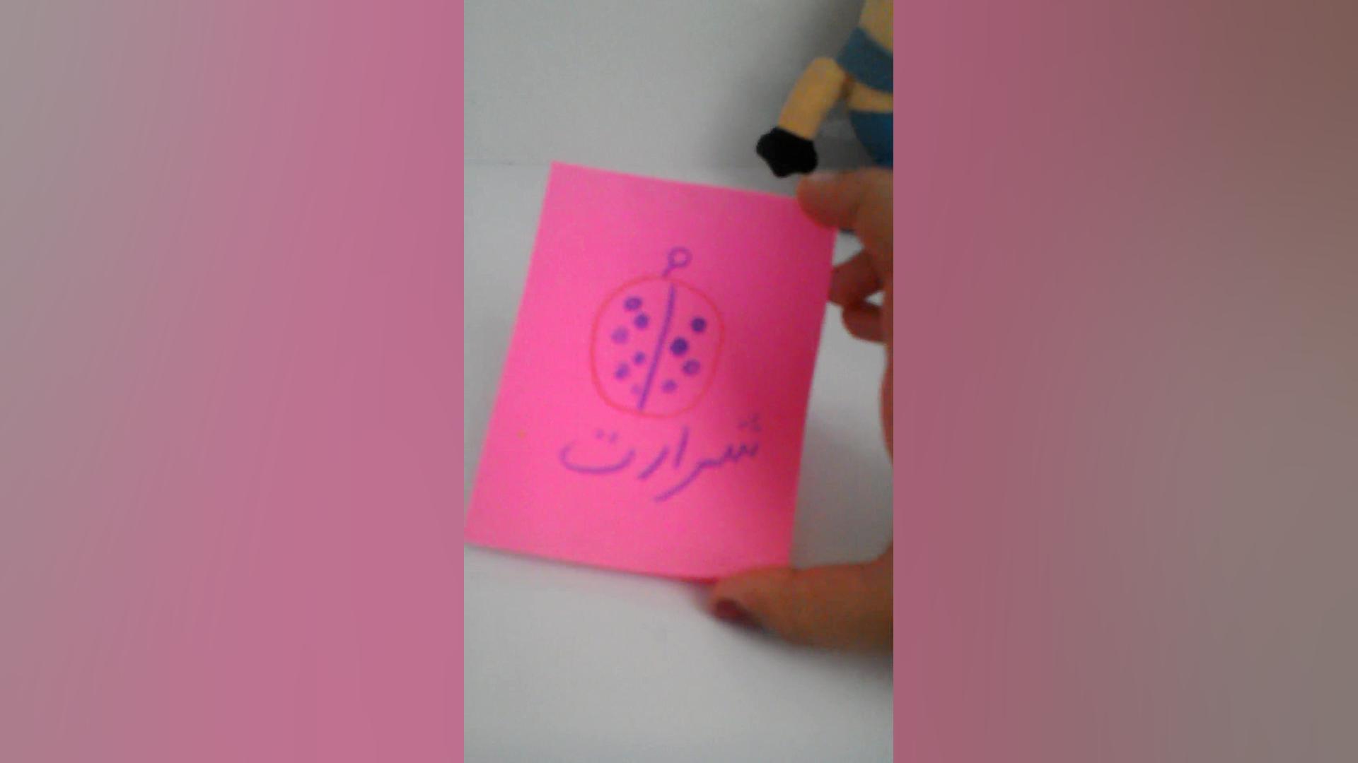 کتاب دخترکفشدوزکی