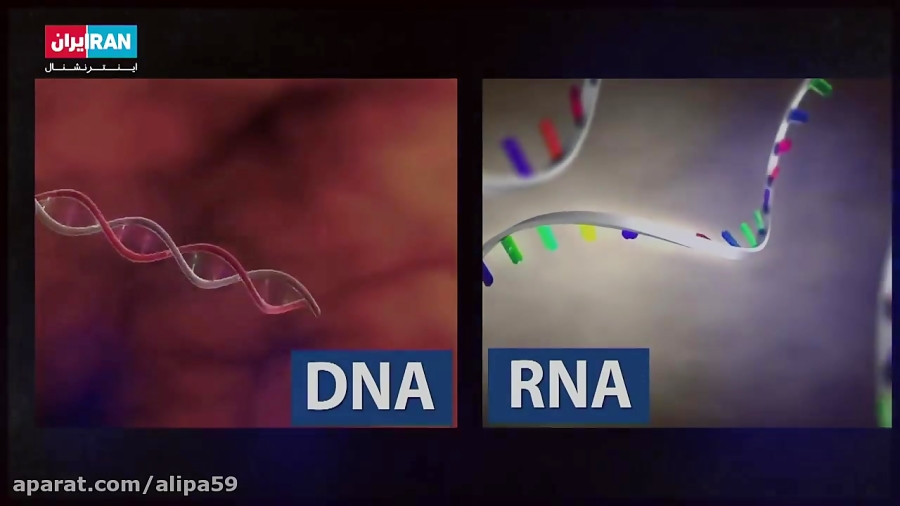چرا ساختن واکسن برای ویروس کرو...