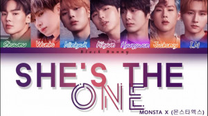 monsta x shes the one color co...
