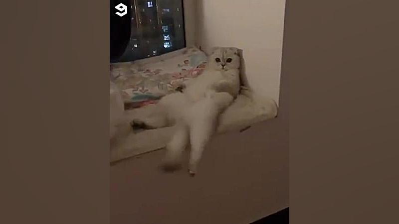 وضعیت مردم در تعطیلات اجباری ق...