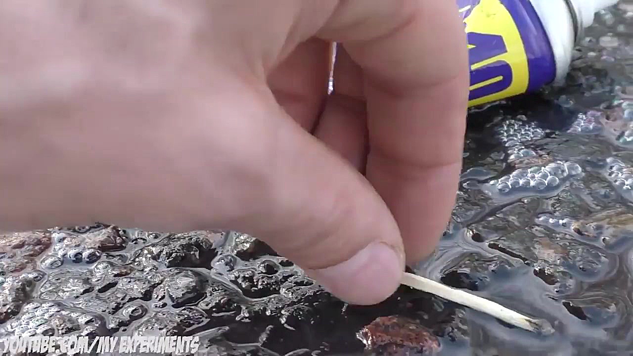 آزمایش عجیب  چرخ ماشین علیه قو...