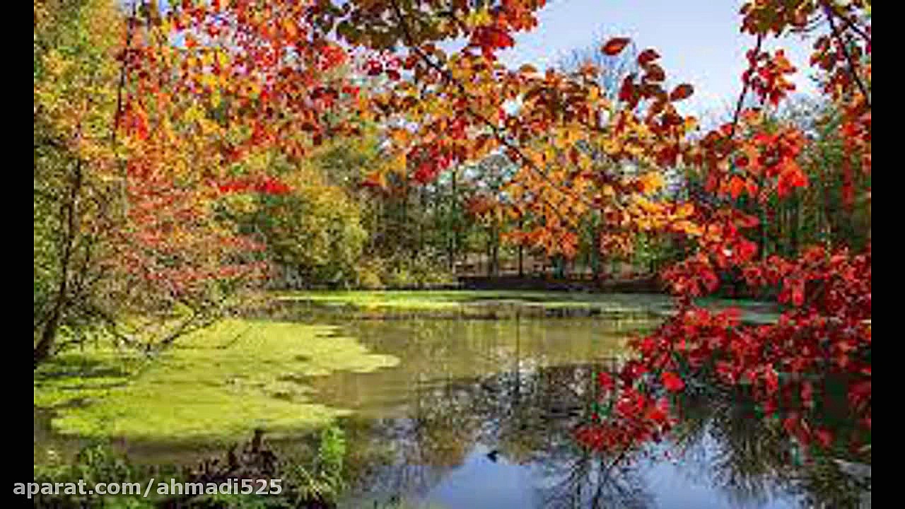 موسیقی محلی فارس بی کلام