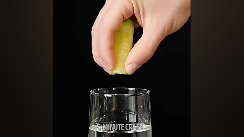 34 ایده گیاهان میوه ها و سبزیج...