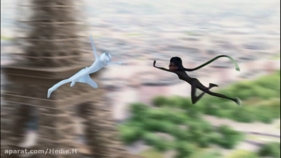 داستان جنگ کت بلنس و لیدی نوار...