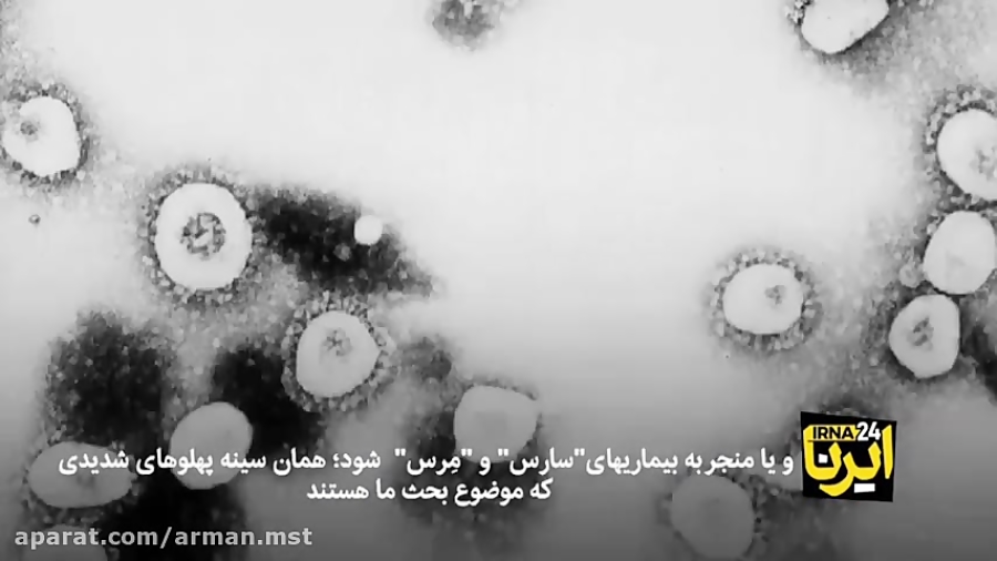 حقایق کرونا 2