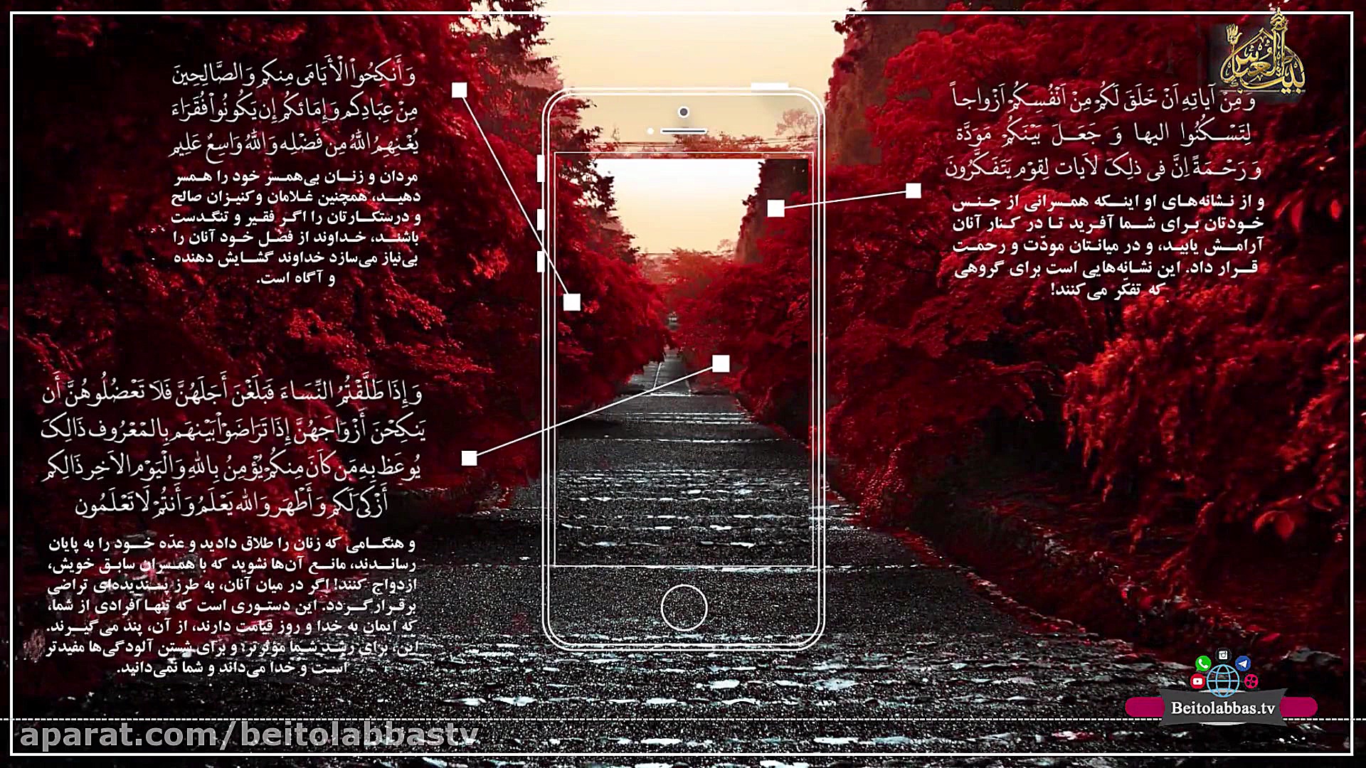 زمینه های تناسب داشتن  دکتر شا...