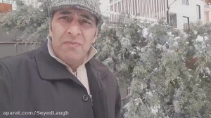 مستند درخت و سنگینی بار زندگی!...