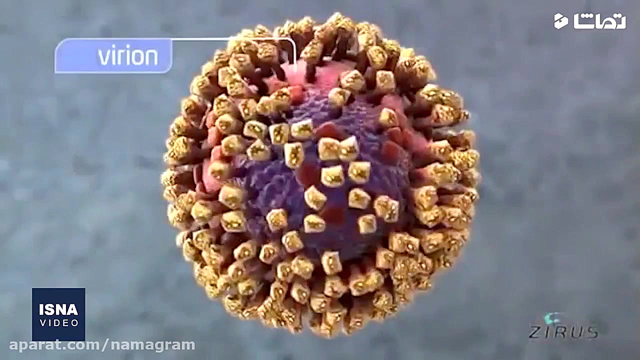 آیا واکسن ویروس کرونا ساخته شد...