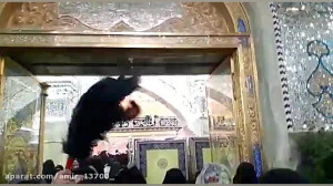 شهادت امام هادی علیه السلام تس...