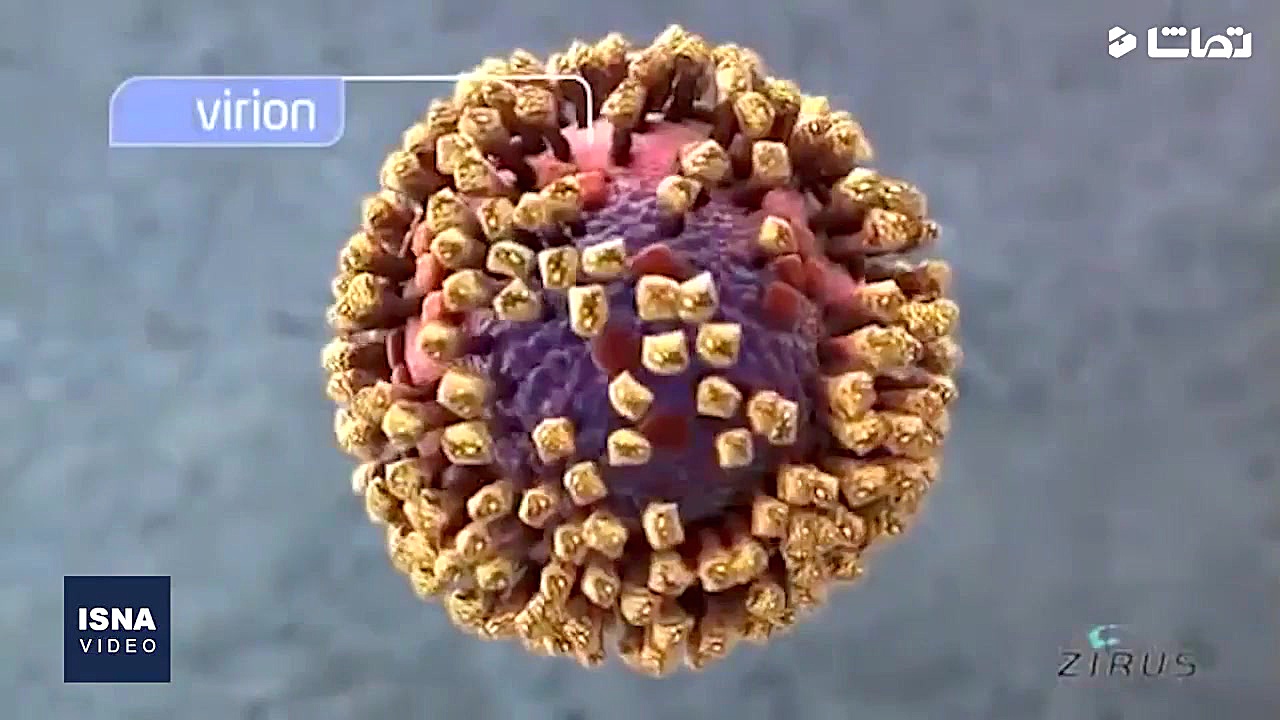 آیا وکسن ویروس کرونا ساخته شد...