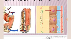 زیست هفتم  آموزش درس 13