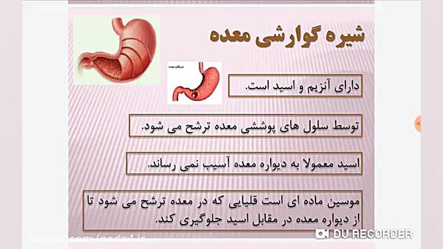 زیست هفتم  قسمت دوم آموزش درس...