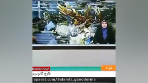 راه های درمان ویروس کرونا