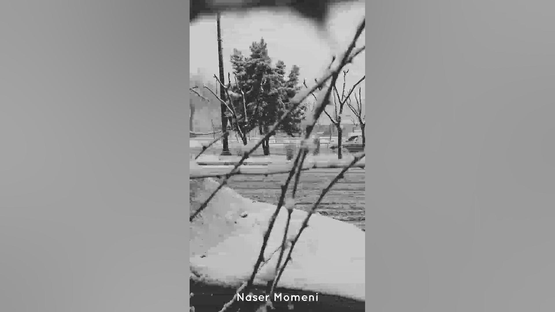 ساقی.. علیرضا قربانی محمدرضا ش...