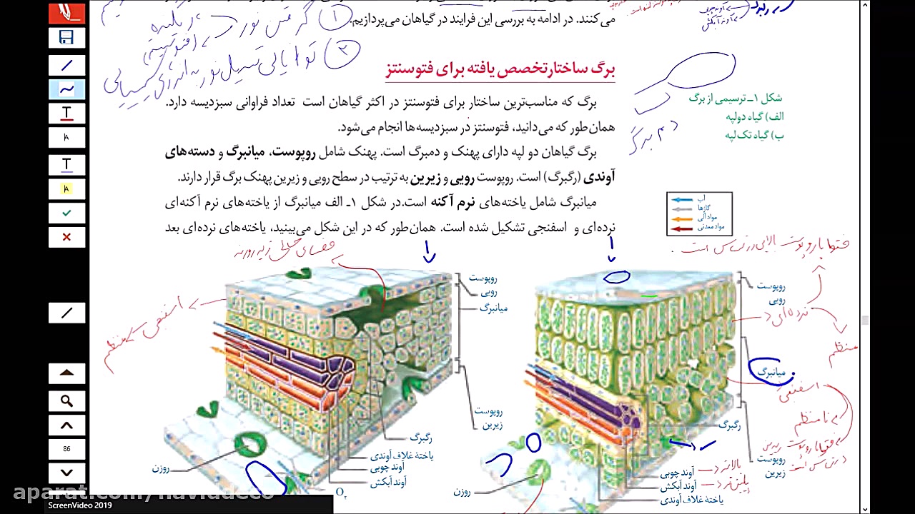 گفتار 1 فصل 6 زیست شناسی دوازد...