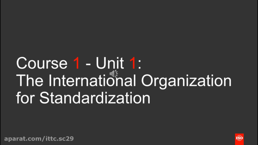 Unit 1  The International Orga...