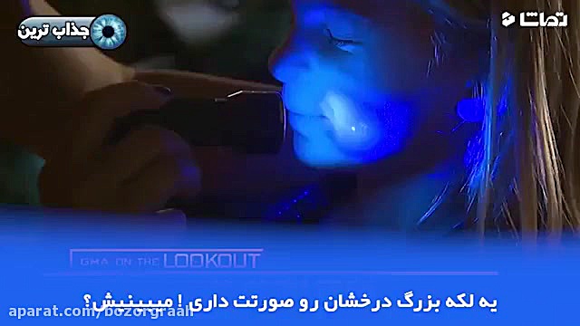 شبیه سازی انتقال ویروس و میکرو...