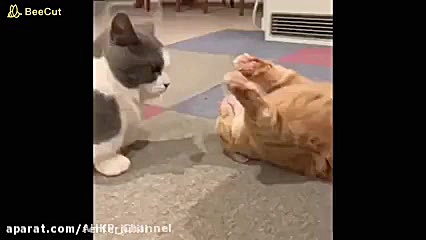 کلیپ خنده دار و باحال از جواد...