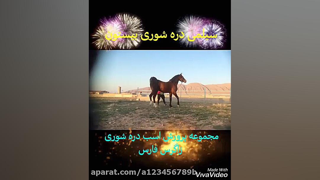 سیلمی دره شوری بیستون