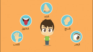 آموختن حواس پنجگانه به عربی بر...