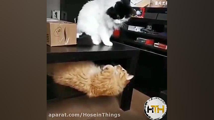 حال این روزای زن و شوهر ااا