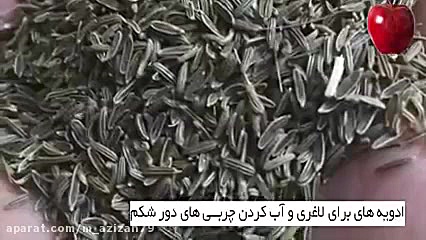 ادویه های لاغری و آب کردن چربی...