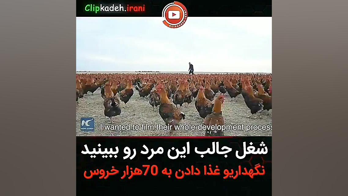 شغل خیلی باحال