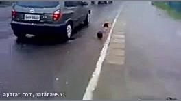 خنگول های خیابانی..فوق العاده...