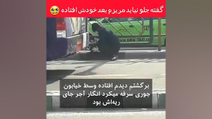 ویدیویی از بر زمین افتادن یک ش...