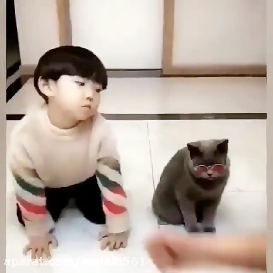 دانلود کلیپ از اینستاگرام برای...