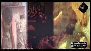 علیمی اگر سردار نام آور فاطمیه...