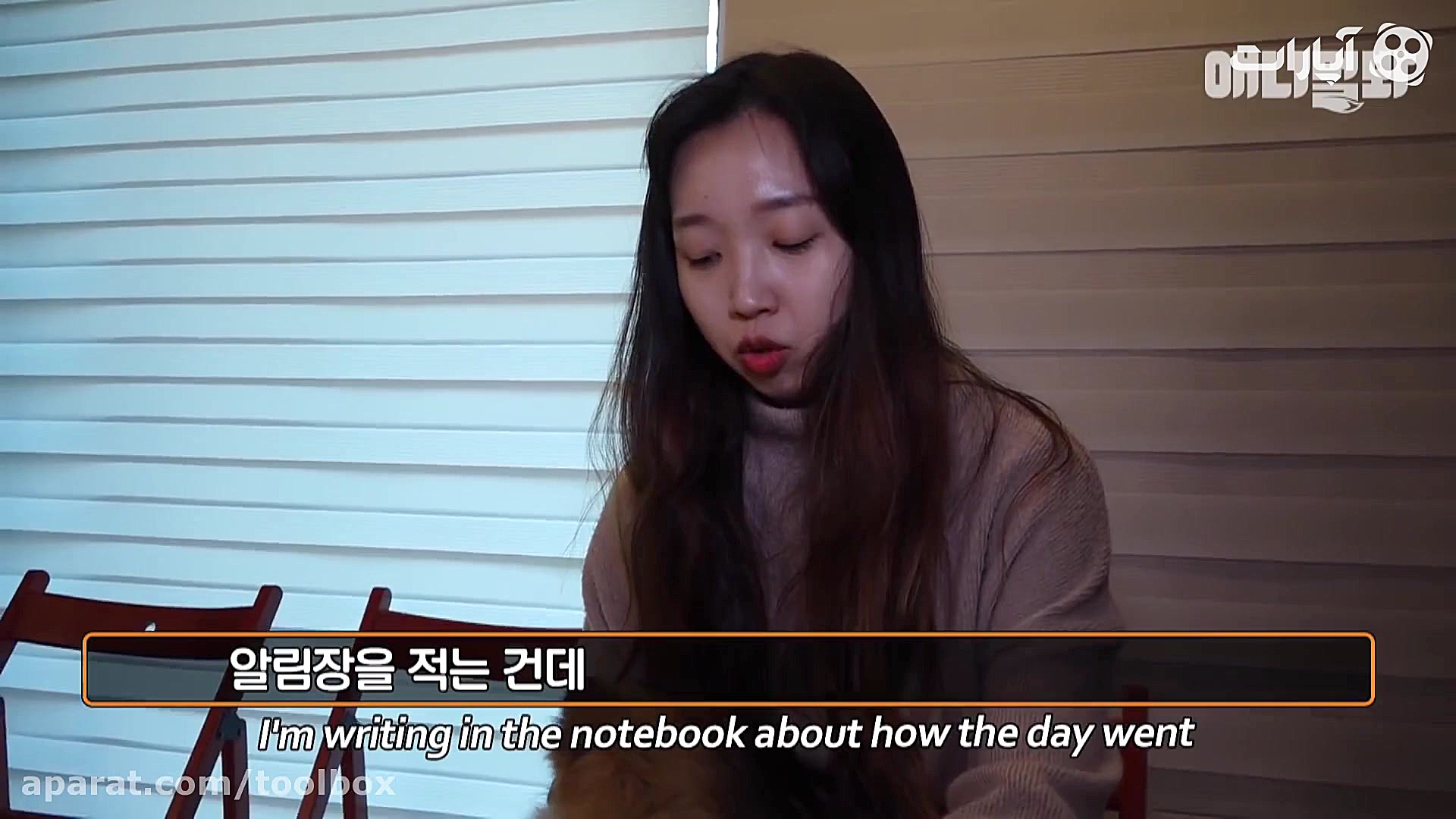 مهد توله سگها