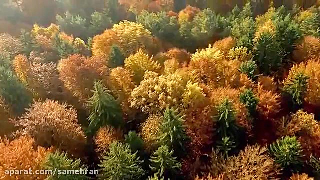 موسیقی آرامش بخش  بخش دوم  موس...