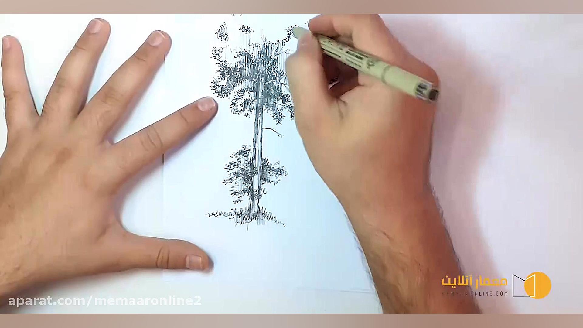 اموزش ترسیم درخت