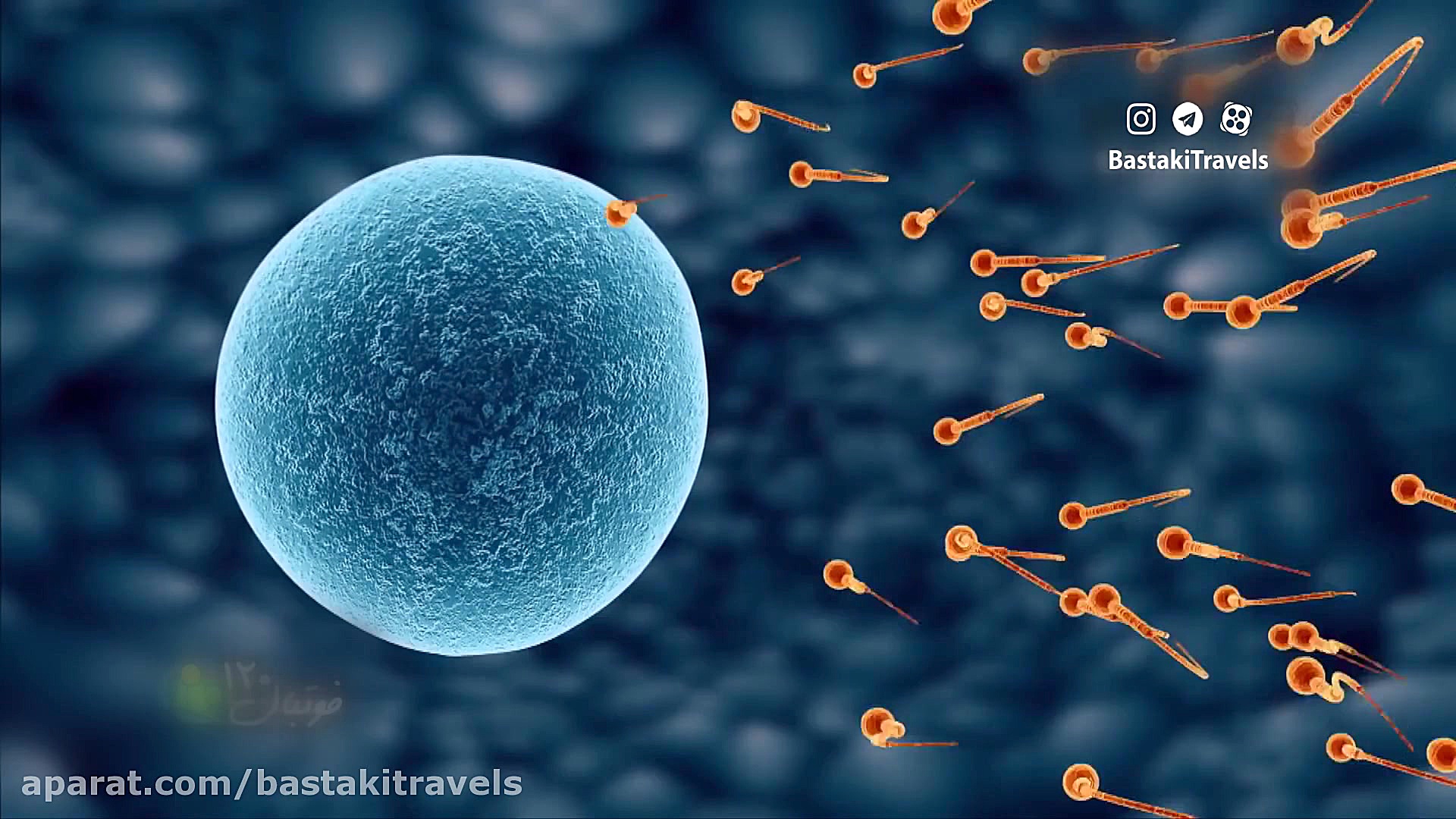 شکست کرونا به روایت عادل فردوس...