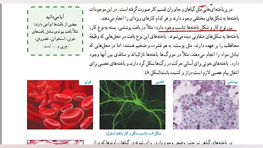 علوم هفتم یاخته قسمت 2 فصل 11...