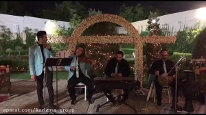 موسیقی سنتی حرفه ای (گروه کاری...