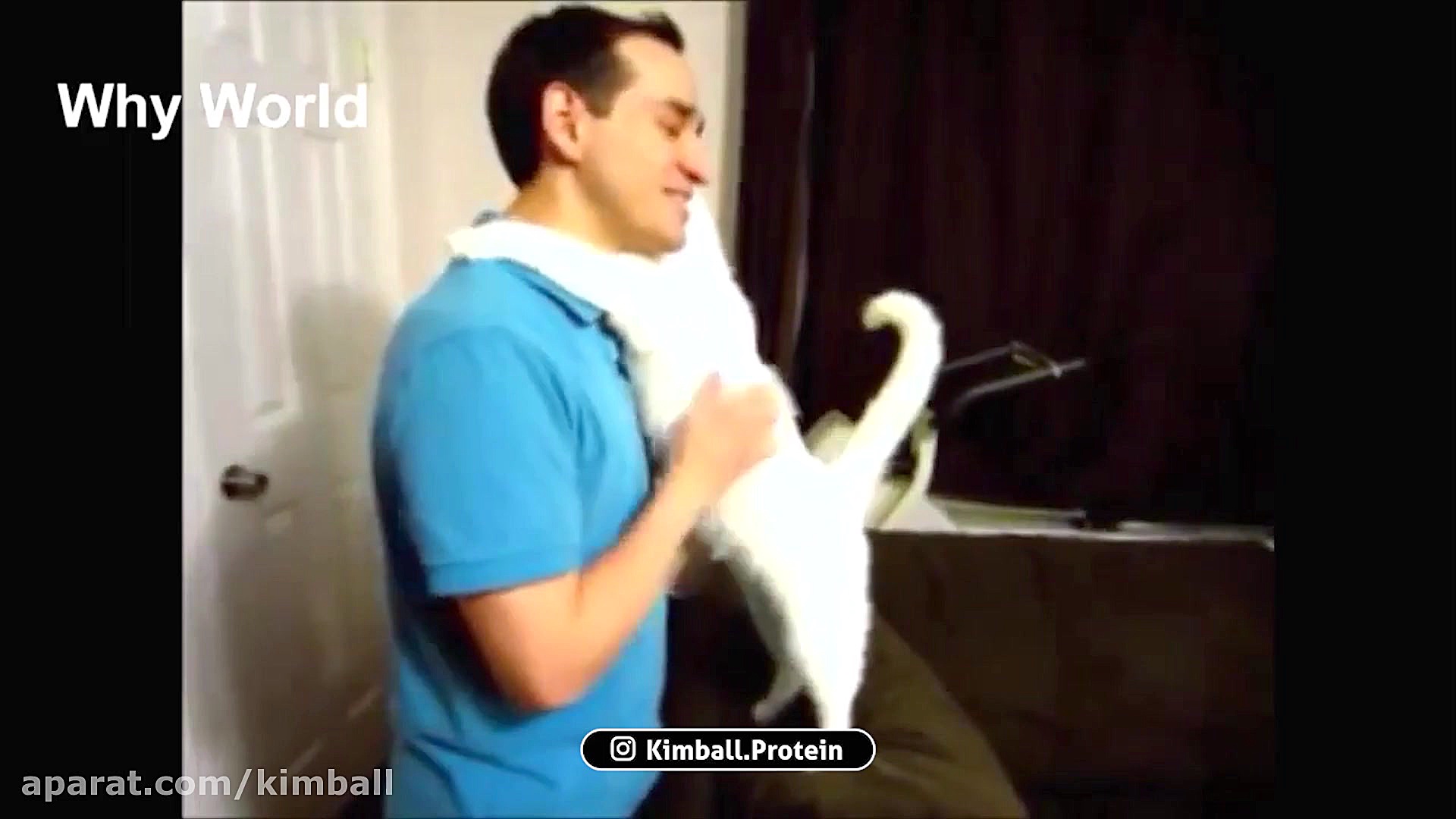 حیوانات را دوست بداریم