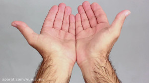 طریقه شستن صحیح دستها
