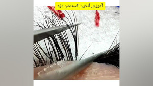 آموزش آنلاین مژه