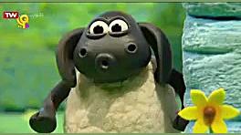 کارتون بره کوچولو  قسمت ۱۲