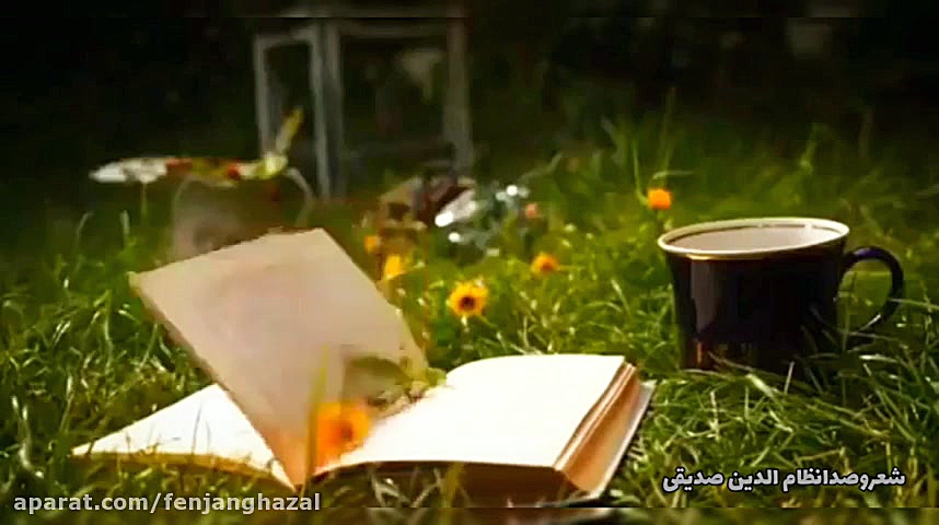  دلتنگی ها شعر و دکلمه نظام ال...
