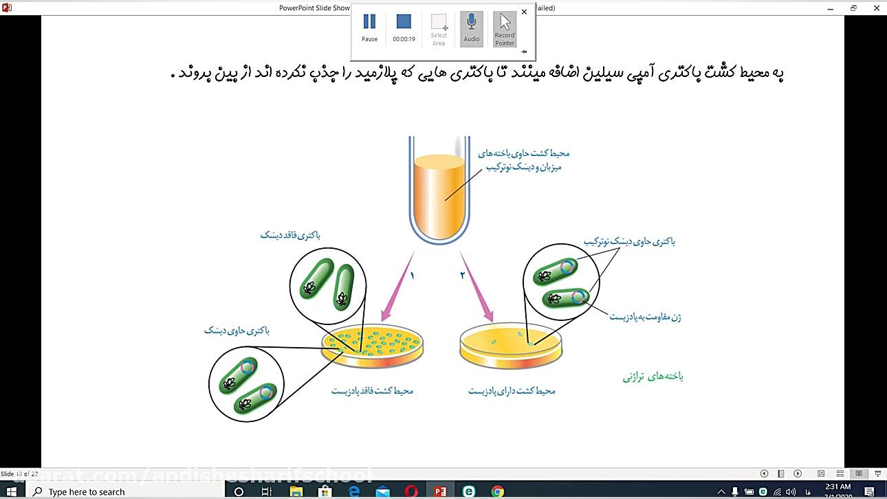 گفتار 1 فصل 7 زیست شناسی دوازد...
