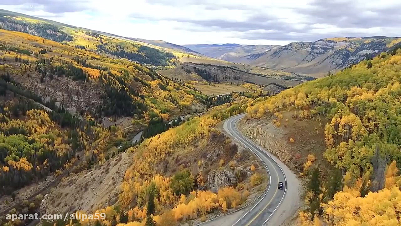 موسیقی درخت شفابخش  آرامش بخش...