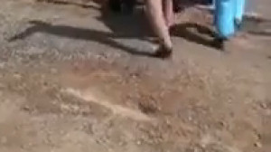 قم بهشت معصومه ع و کشته شدگان...