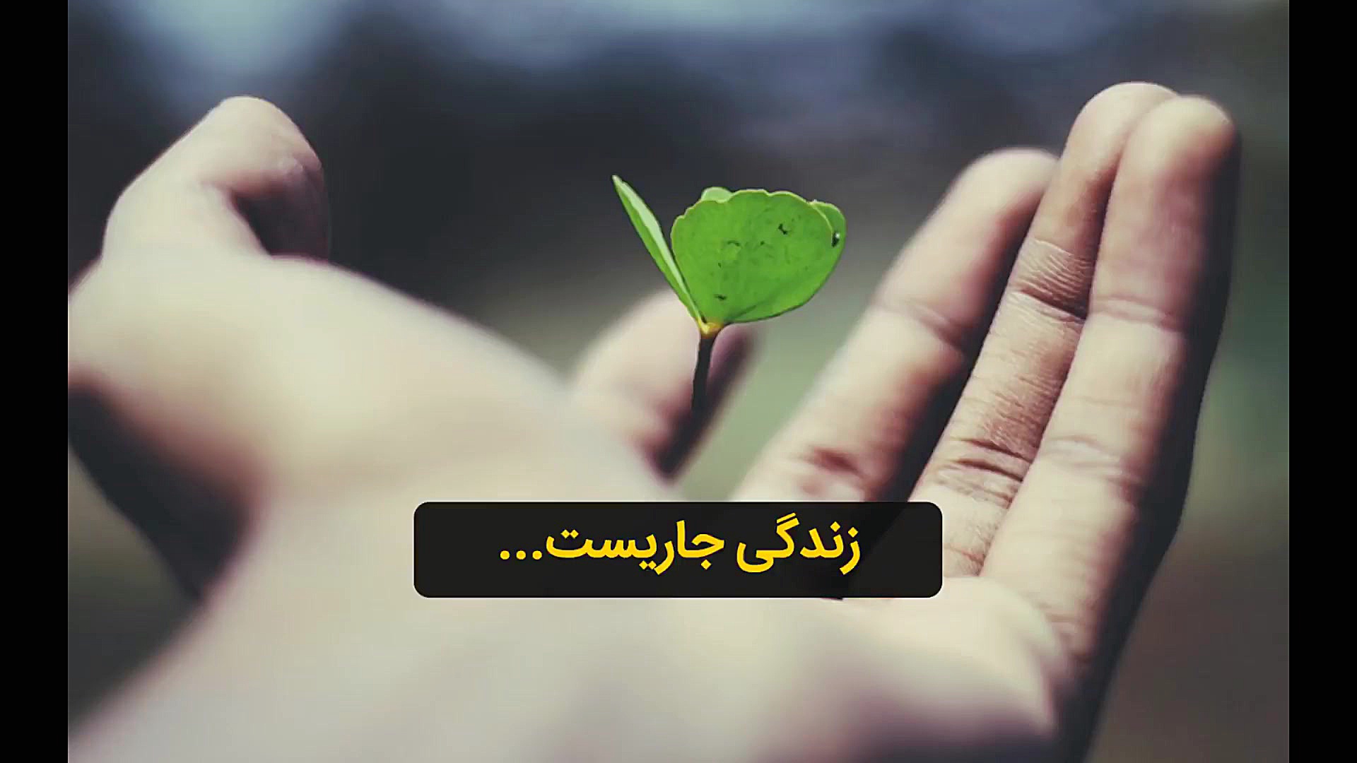 استاد احمد محمدی  زندگی جاریست