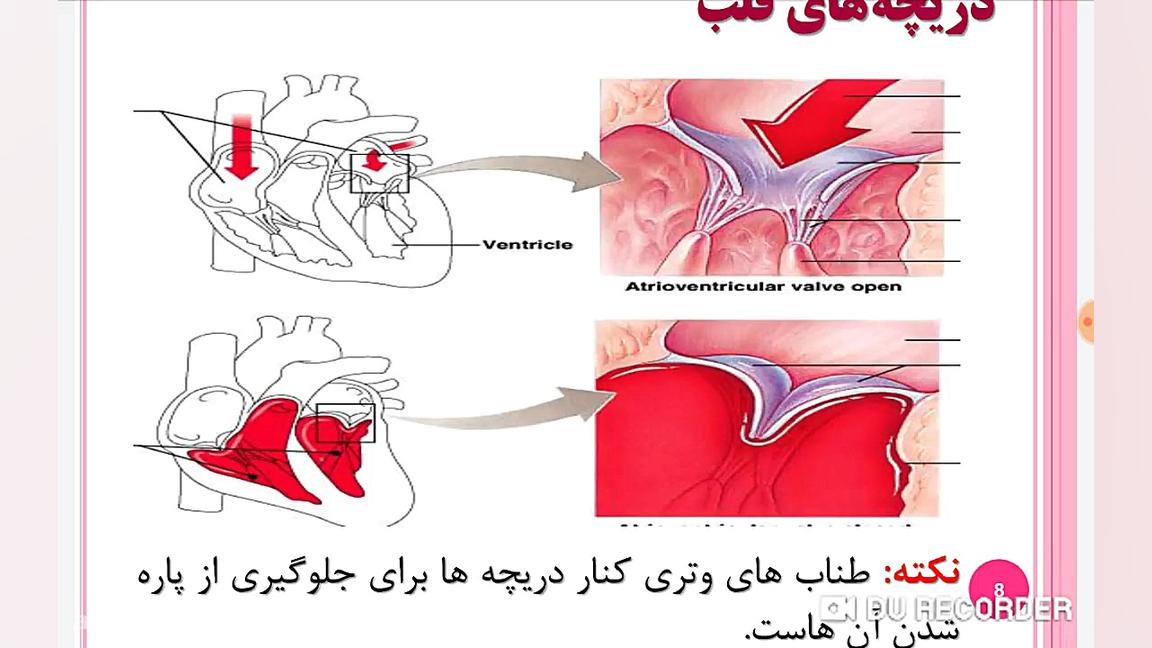زیست شناسی هفتم جلسه اول درس ۱...